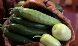 网红本质吃瓜视频