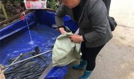 群众回家吃瓜视频,见证民间欢乐时光