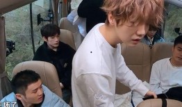 鹿晗在韩国吃瓜视频播放,视频播放引发网友热议