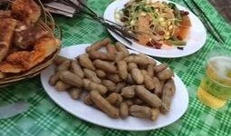 吃货刘大瓜熘肉段视频