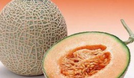 咖啡豆吃哈密瓜好吗视频,揭秘咖啡豆吃哈密瓜的神奇体验