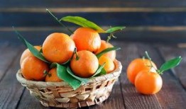 吃喀秋莎酸瓜视频,一场味蕾的狂欢之旅