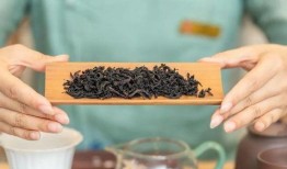 吃瓜不如吃茶视频