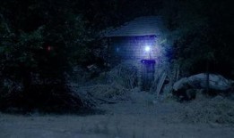 月光18度吃瓜视频下载,揭秘吃瓜视频背后的下载奥秘