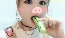 猪吃瓜搞笑视频,萌宠演绎欢乐喜剧