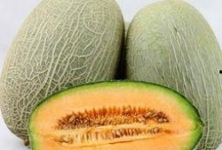 大妹吃哈密瓜视频大全免费观看,免费视频盛宴，尽享甜蜜时光