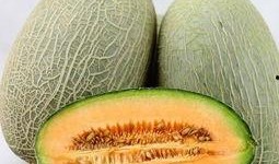 大妹吃哈密瓜视频大全免费观看,免费视频盛宴，尽享甜蜜时光