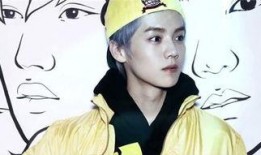 大老师吃瓜鹿晗视频全集,揭秘明星幕后故事，视频全集大揭秘