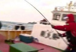 路亚吃瓜视频,揭秘网红美食背后的故事