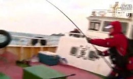 路亚吃瓜视频,揭秘网红美食背后的故事