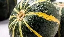 蔡二哥新沂吃瓜视频大全,揭秘当地美食与趣事