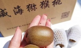 哈密瓜怎么样吃才甜视频,视频教你如何挑选与食用